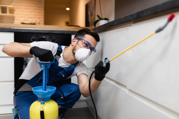 Best Bed Bug Extermination  in Hondo, TX