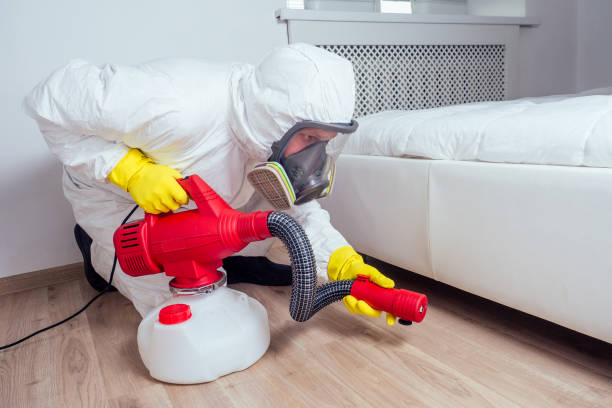Best Affordable Pest Control Services  in Hondo, TX