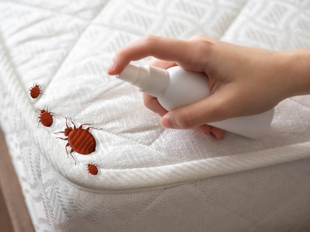 Best Best Pest Control Companies  in Hondo, TX